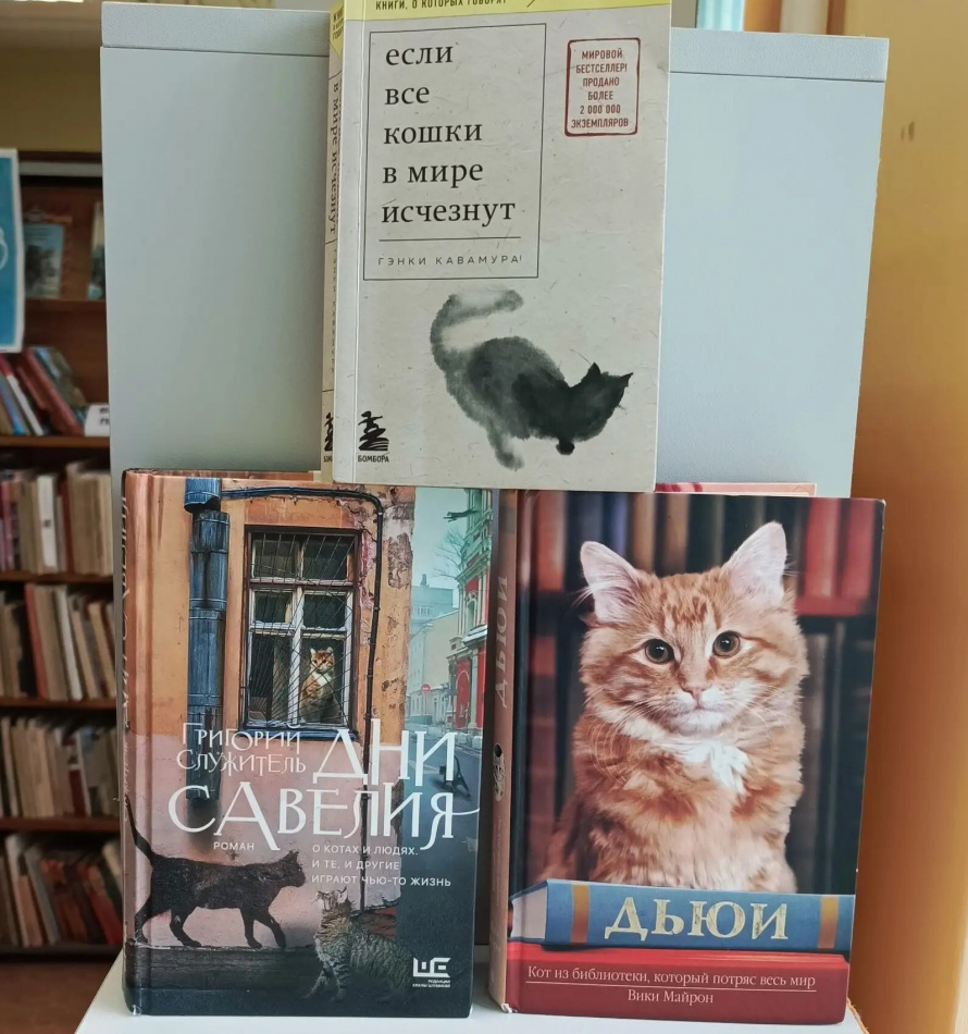 Всемирный день кошек