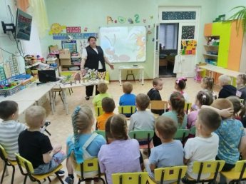 День муравья: маленькое чудо большого мира! 