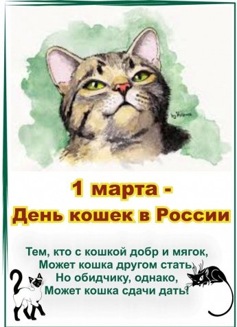 Викторина "Планета кошек"