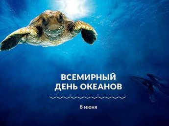 Игра "Мир океана"