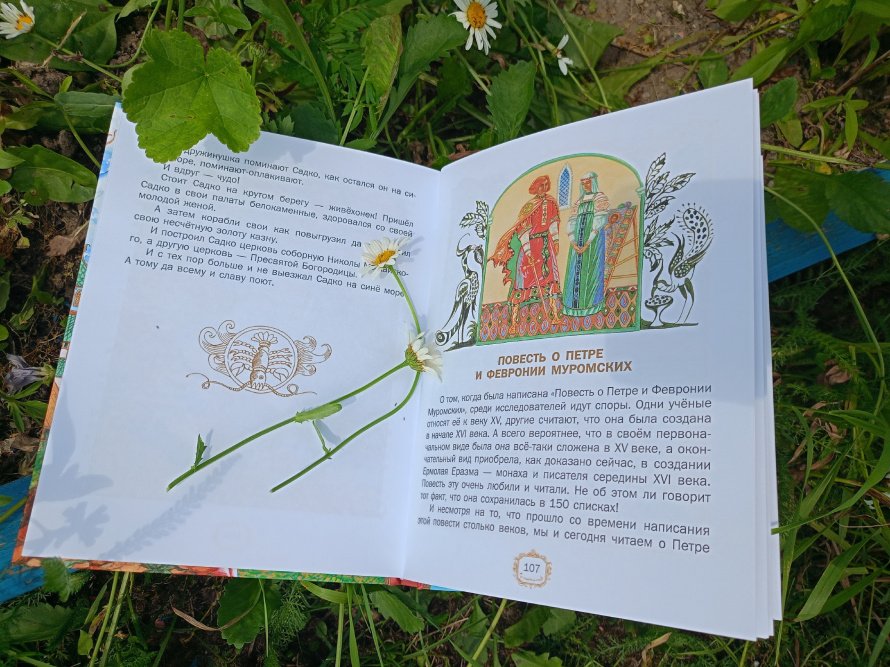 Книга ко Дню семьи, любви и верности – читаем вместе!