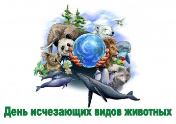 Викторина «Их осталось так мало»
