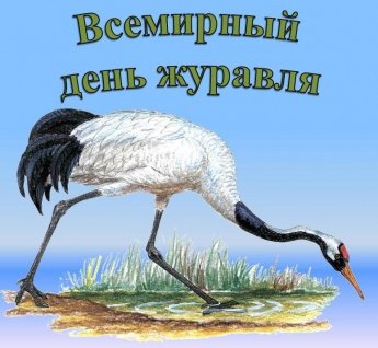 Игра "В царстве журавлином"