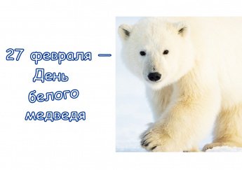 Викторина «Белый странник Арктики»