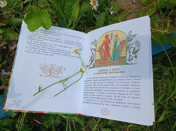 Книга ко Дню семьи, любви и верности – читаем вместе!